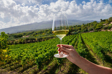 sicilian wine tasting in etna region - vineyard experience with mountain landscape
