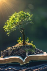 Visualization of success as a tree growing out of a book.