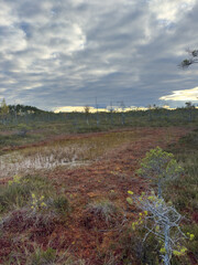 
Cena tirelis is the second largest bog in Latvia