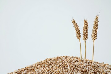 two wheat ears on a heap of grain, white background - generative ai