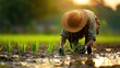 © busro - Tranquil Morning in the Rice Paddy: Farmer Planting Seedlings by Hand in Serene Rural Landscape