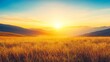 © Photock Agency - Serene Sunset Across the Vast Golden Fields