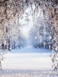 © Manchuporn - A serene winter landscape adorned with glistening snowflakes and icicles, creating a magical, tranquil atmosphere.