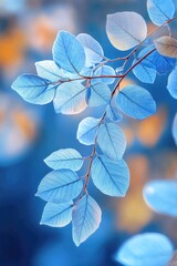 Wall Mural - Blue leaf tree branch