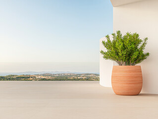 A serene terrace featuring a plant in a stylish pot with a panoramic view of the landscape