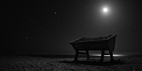 Wall Mural - beach bench under full moon