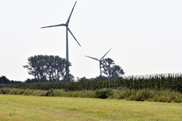 A typical northern German landscape with an orchard, a grass field and two wind turbines in the background.