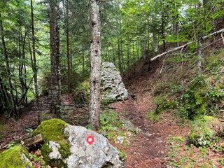 Hiking trails along the Suhi Potok in Zadnja Trenta, Bovec (Triglav National Park, Slovenia) - Wanderwege entlang des Baches Suhi Potok in Zadnja Trenta (Triglav-Nationalpark, Slowenien)