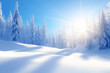© ChaoticDesignStudio - Bright winter landscape with snow-covered trees under a sunny sky in the mountains