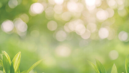 Close-up of dew or rain drops on blades of green grass in an early spring or summer morning, with light bokeh in the morning sun, very beautiful wide-format photo, morning sun, green grass, dew drops,