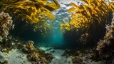 A surreal underwater forest of giant kelp reaching towards the sunlight above, sea vegetation grows