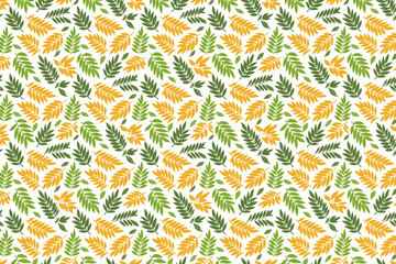 Seamless pattern with Curry leaves on a white background vector illustration