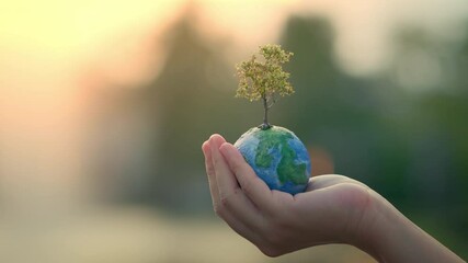 world environment day, b roll - hands of woman holding globe with tree on green tree bokeh backgroun