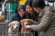 © MarGa - Group of Asian women petting dogs in an animal adoption center, discussing and smiling during a shelter visit. Concept of pet adoption, animal shelters, and volunteering