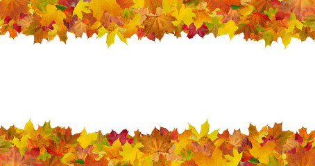 Aufkleber - A row of yellow leaves with a white background. The leaves are scattered and overlapping, creating a sense of depth and movement. Scene is peaceful and serene, as the leaves seem to be gently falling