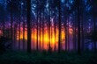 © Athena - Mystical forest at sunset