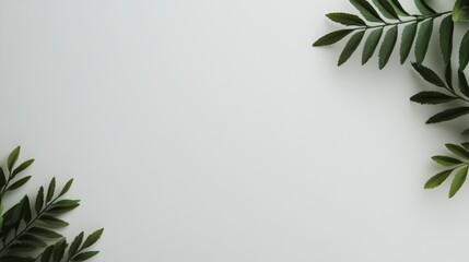 Wall Mural - palm leaves cast soft shadows across a smooth white surface, forming an elegant abstract pattern tha