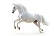 © iridescentstreet - A majestic white horse leaps gracefully against a plain background, showcasing its strength and elegance in mid-air