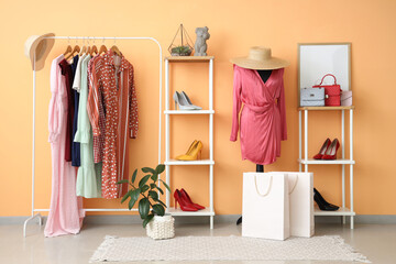 Wall Mural - Interior of dressing room with mannequin, clothes rack and shelf units