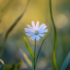 Sticker - A close-up of a single wildflower, delicate and vibrant against the greenery