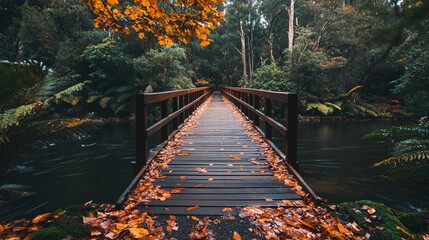 Wall Mural - wooden bridge over a still stream in a forest with fall leaves on the path.