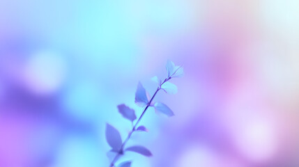 Canvas Print - Blurred gradient with soft blue and purple hues image