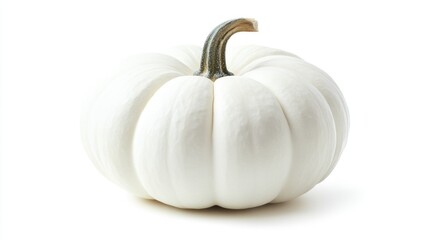 Poster - white pumpkin with light stem and decorative gourd isolated on white background for seasonal decoration