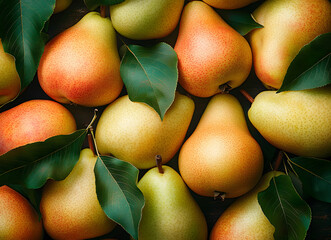 Wall Mural - fresh pears with leaves, top view