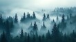 © DIAHIMAGESNEW - Misty forest landscape with tall pine trees.