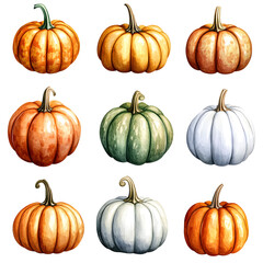 Wall Mural - watercolor pumpkin set. hand drawn autumn illustration of different pumpkins isolated on white background, png