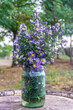 © Michael - Bouquet of purple flowers with green leaves in a glass jar on an old oak barrel
