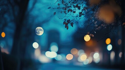 Wall Mural - moonlit night with blurred background