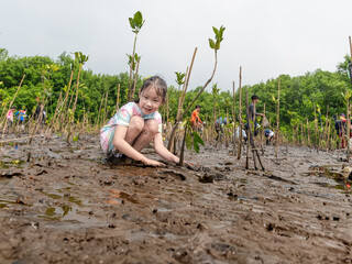 Children Volunteer with planting tree in mangrove forest,ecology concept