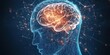 © nurionstudio - A digital illustration of a human brain with glowing connections, representing the complex nature of thought and information processing.
