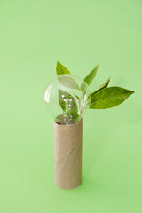 Plant Leaves and lightbulb Emerging from a Recycled empty Toilet Paper Roll on green background