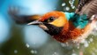 © familymedia - A close-up of a bird in motion, displaying striking turquoise, orange, and black plumage. It captures the energetic essence of flight and freedom.