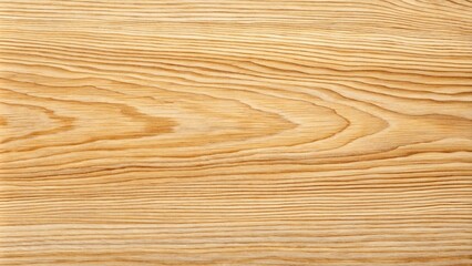 natural European ash wood texture background