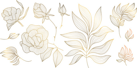 Wall Mural - vector set of art deco drawn leaves and flowers. roses line illustrations, gold on white isolated. f