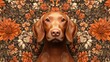 © John - Ornate Dog Pattern - Seamless Floral Design 3d animation