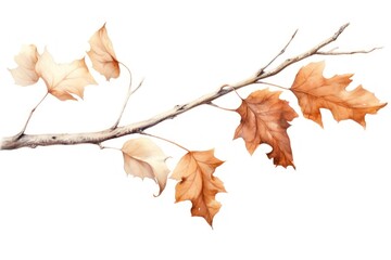 Wall Mural - Tree branch plant maple.