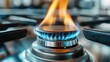 © svastix - A detailed view of a gas stove burner, where the vibrant blue and orange flames highlight its role in providing heat for modern cooking essentials.