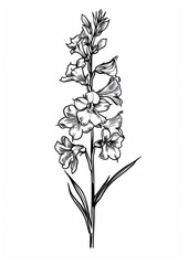 Wall Mural - Detailed black-and-white floral illustration