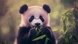 © Marius - A cute panda eating bamboo, with soft pastel colors in the background.