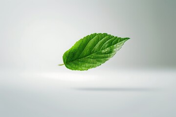 A fresh green leaf floating against a minimalist background, showcasing its natural beauty and intricate texture.