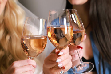 Girlfriends raise a toast with glasses of white colored wine.Close shot.