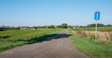 Wall Mural - dead end country road with field and farm in national park maasduinen