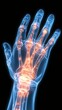© atdigit - Advanced 3D Visualization of Human Hand Joints Affected by Arthritis Pain