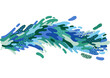 © Casiegraphics - Colorful blue and green wave, colorful background pattern or wave flowing liquid, Abstract color Wallpaper, vibrant swing, colorful stream, water flowing, water