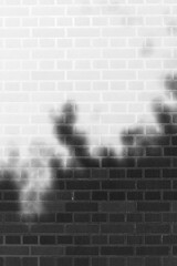 Wall Mural - Shadows of trees and leaves falling on a brick wall in black and white film negative.