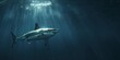 © YuDwi Studio - swimming freely with sharks in the ocean
